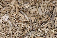 biomass boilers Austenwood