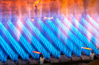 Austenwood gas fired boilers
